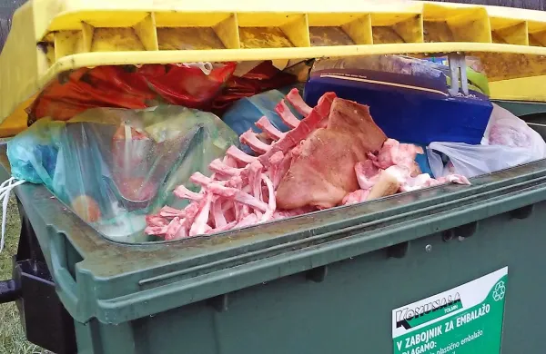 Če  bodo našli tistega, ki je  v Slapu ob Idrijci zmetal ostanke pujsa v zabojnik za  plastiko, bo plačal mastno kazen.