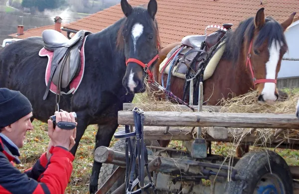 V Harijah  bodo po  stari tradiciji na godovni dan sv. Štefana blagoslovili konje.