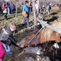 Žegen za dobro letino in zdravje