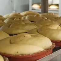Gubance navsezgodaj zjutraj, tik pred pečenjem.