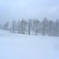 Ponekod zapadlo tudi do pol metra snega