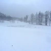 Ponekod zapadlo tudi do pol metra snega