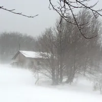 Ponekod zapadlo tudi do pol metra snega