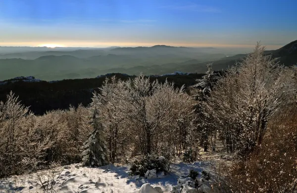 Fotografija je simbolična