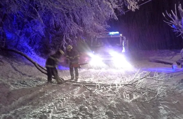 Gasilci so imeli veliko dela z drevesi, ki so se zaradi teže snega lomila in padala na cesto. 