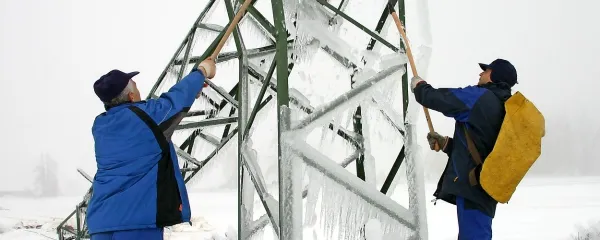 Tako so se februarja na Postojnskem  spopadli z žledom. 