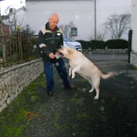 Tako Mija vsako jutro nestrpno pričaka, da ji raznašalec Ivan Čančar položi Primorske novice v gobček.