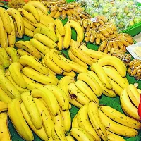 Banane pomagajo pri vneti želodčni sluznici, so nasitne in 
imajo še vrsto drugih zdravilnih učinkov. 