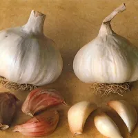 Domač česen je naravni antibiotik z zdravilnimi učinki, zato 
ga jejte samega in ga dodajajte zelenjavi in drugim živilom. 