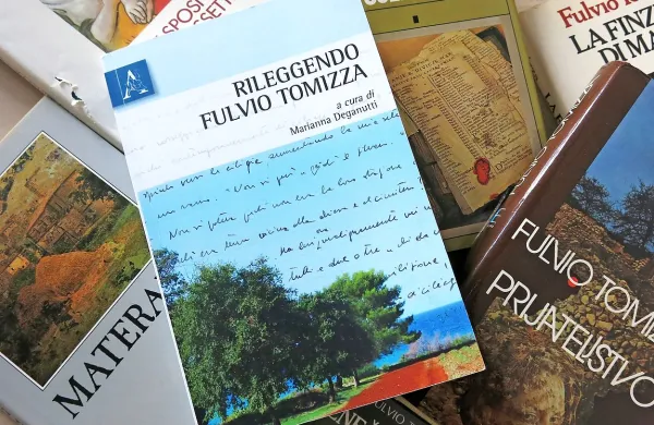 V knjigi Rileggendo Fulvio Tomizza (Ponovno prebiranje Fulvia Tomizze) je zbranih 14 esejev, ki ponujajo svež vpogled v Tomizzova dela in pisanje.  