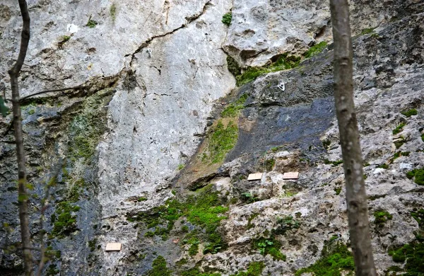 V steni nad Loko (v smeri Črnega Kala) so jeseni plezalci označili 21 novih smeri, ki pa so zdaj že zaprte. Odstranili bodo tudi kline, zavrtane v kamen.