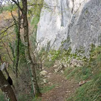 Do plezališča naj bi plezalci prihajali po stezi iz Črnega Kala.     
