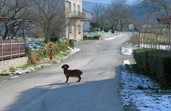 Hidranti tik ob robu cestišča so nevarni, opozarjajo krajani Lozic. 