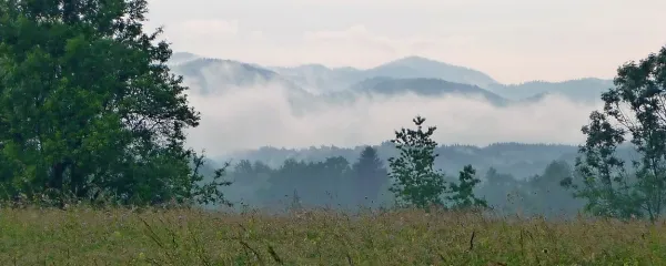 Leto 2014 je bilo drugo najbolj namočeno po letu 1850. Kmetom je  le z izjemnimi napori uspelo v kratkih sušnih obdobjih posušiti dovolj krme za živali. 