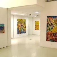 Njena pot, njen pogled