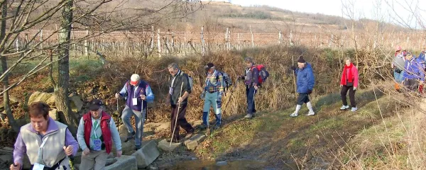 Čez drn in strm ob državni meji