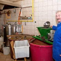 Franc Jelušič posušene brinove jagode zmelje in namoči.