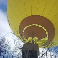 Balon je  pristal na drevesu