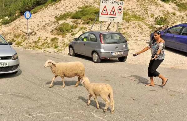 Problematika odpiranja edine cestne povezave zgornjega dela doline Soče z Gorenjsko in s tem osrednjo Slovenijo je vroča tema že več desetletij. 
