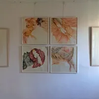 Postavitev perorisb  Dimitara Malidanova: Prihod, Izkušnja I, II, III, IV, Odhod, 2012.