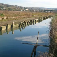 Pot, ki so jo nasuli v sklopu sanacije struge Roje,  in z njo za tretjino zožili vodno pot, grozi, da se bo porušila. Uporablja pa je ne nihče, saj se je sanacija ustavila. 
