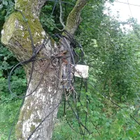 V Bukovu telefonska napeljava z razdelilnimi omaricami vred še vedno  visi kar po drevesih. 