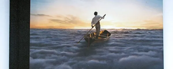 Na albumu  The endless river so zbrane povečini instrumentalne skladbe, ustvarjene med snemanjem albuma The division bell (1994).   