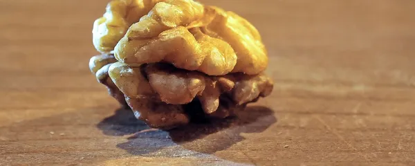 Orehi in drugi oreščki krepijo možgane.