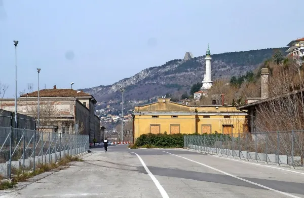 Ena od pomembnih nalog, ki jo v Trstu pričakujejo od novega vodstva pristanišča, je sodelovanje pristaniške uprave pri načrtovanju obnove degradiranega območja starega pristanišča v bližini centra mesta. 