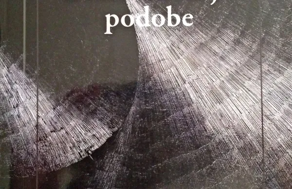 Podobe lahko skrčijo čas