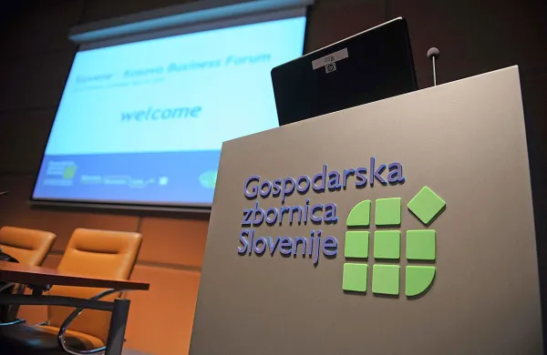 Gospodarska zbornica Slovenije podpira privatizacijo slovenskega gospodarstva na pregleden in strateško premišljen način.