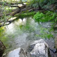Sledilo, ki so ga injicirali v Štorjah, se je že  v 15 dneh pojavilo v Timavi (na fotografiji).