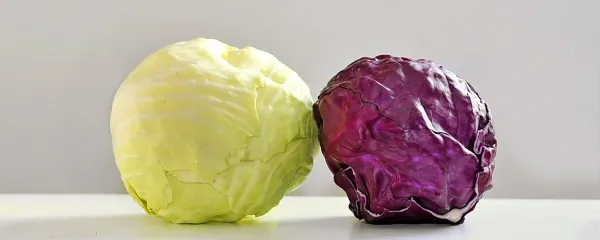 Belo in rdeče zelje, ki ju rak ne mara.