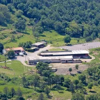 V začetku osemdesetih let se je Gabrijel Trček odločil za prašičerejo in postavil hlev za 60 plemenskih svinj, da so letno vzgojili približno 1000 prašičkov za nadaljnjo rejo. Do leta 1995 je bila kmetija prašičerejska. Zaradi vodovarstvenega pasu se