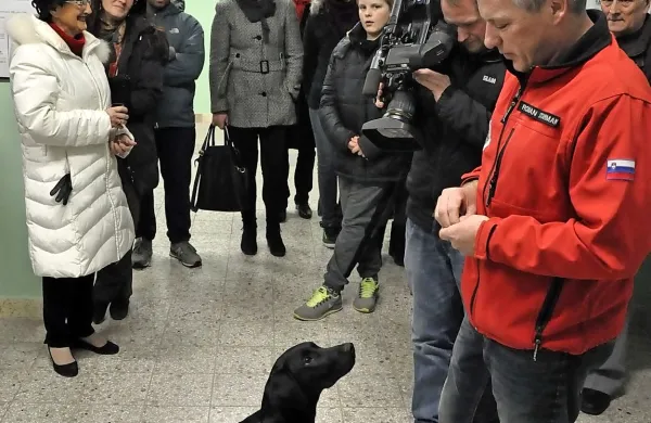 V Hrvatinih o vlogi psov v vojnah