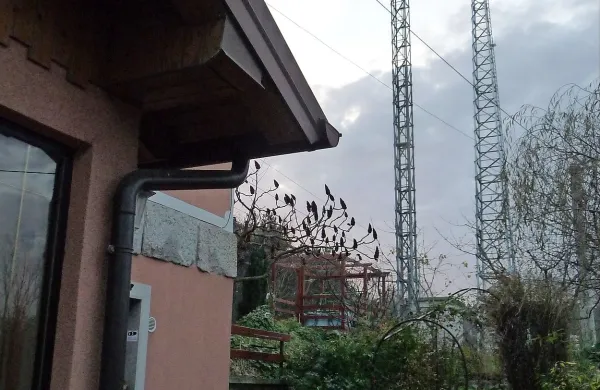 Pri Žirjah stoji bazna postaja le lučaj od stanovanjske hiše.