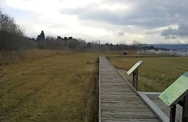 Slani travnik zahteva še večjo skrb kot običajni travniki 