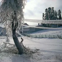 Pivka