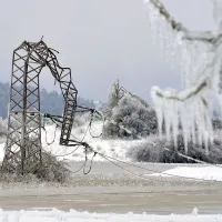 Pivka