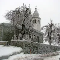 Lokovec
