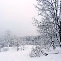Brez elektrike &scaron;e 282 odjemalcev na Primorskem
