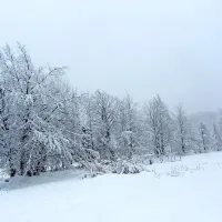 Gora nad Ajdovščino danes