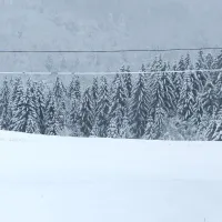 Brez elektrike &scaron;e 282 odjemalcev na Primorskem