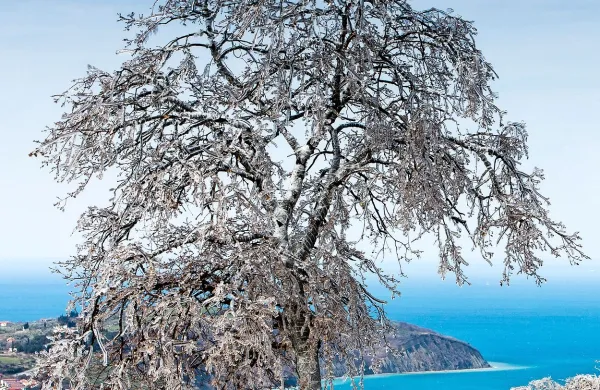 Morda nas jutri zjutraj pričaka tak prizor.
