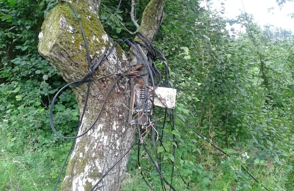 Leto dni po žledu so takšni prizori na Cerkljanskem še vedno stvarnost: na jablano pritrjena telefonska centrala, od nje pa kabli križem in počez do uporabnikov. Zato po njih glas in podatki pridejo, ko pridejo. Mnogo je dni, ko ne pridejo. 