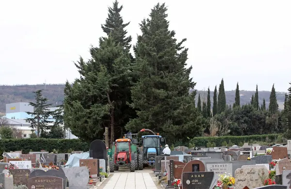   V ospredju  podtaknjenci, v ozadju klasične pokopališke ciprese.
