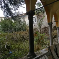 Notranje dvorišče ob križnem hodniku je popolnoma zanemarjeno in zaraščeno.