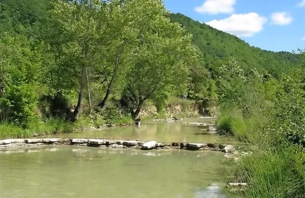 Reka Dragonja je naravna vrednota državnega pomena.