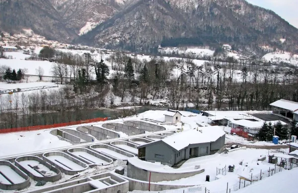 V  ribogojnici ob Tolminki in čistilni napravi bodo vzrejali 40 ton avtohtonih rib za vlaganje v reke in za na krožnik.