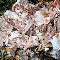 Nekateri uporabljajo naravo tudi za odlaganje večjih količin kosti klavnih domačih živali, ki sicer sodijo drugam.